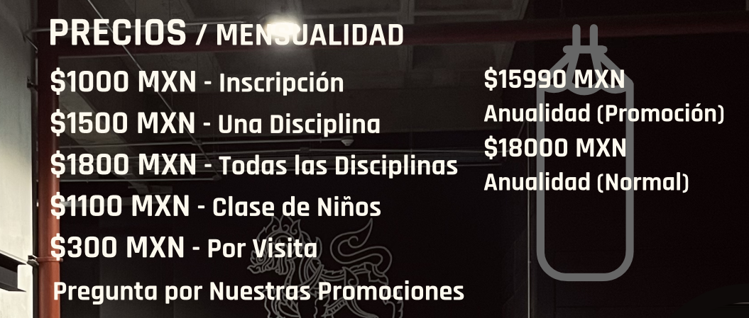 Precios Clases Baan Singto